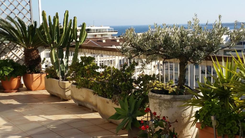 une rangée de plantes en pot sur un toit dans l'établissement Cannes Penthouse, à Cannes