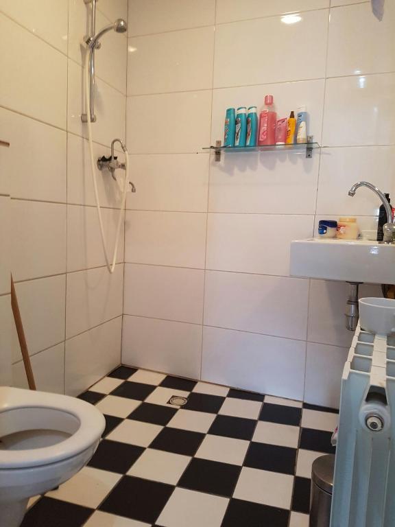 Zoet Amsterdam Umgebung