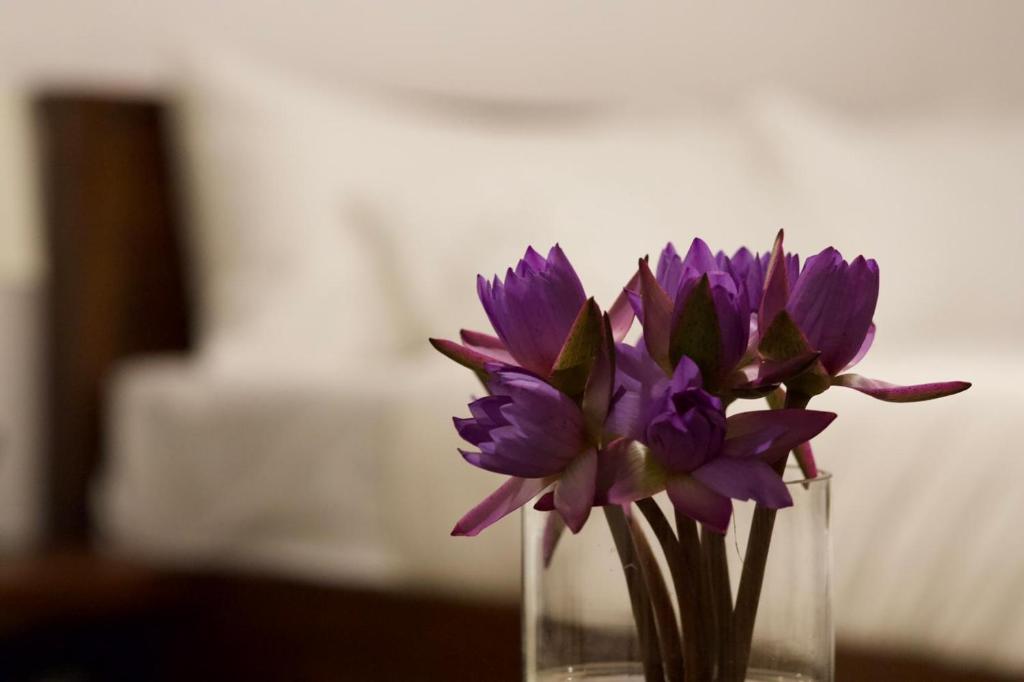 Maho Boutique Hotel - 8