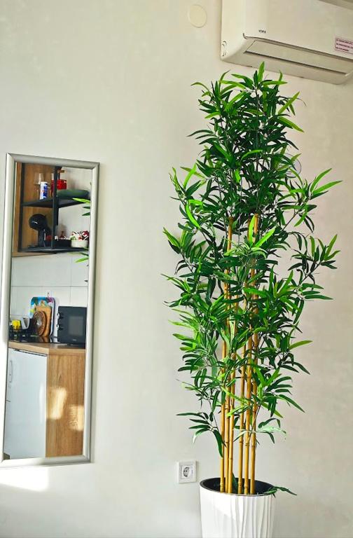 Cozy Old Town Apartment - 6