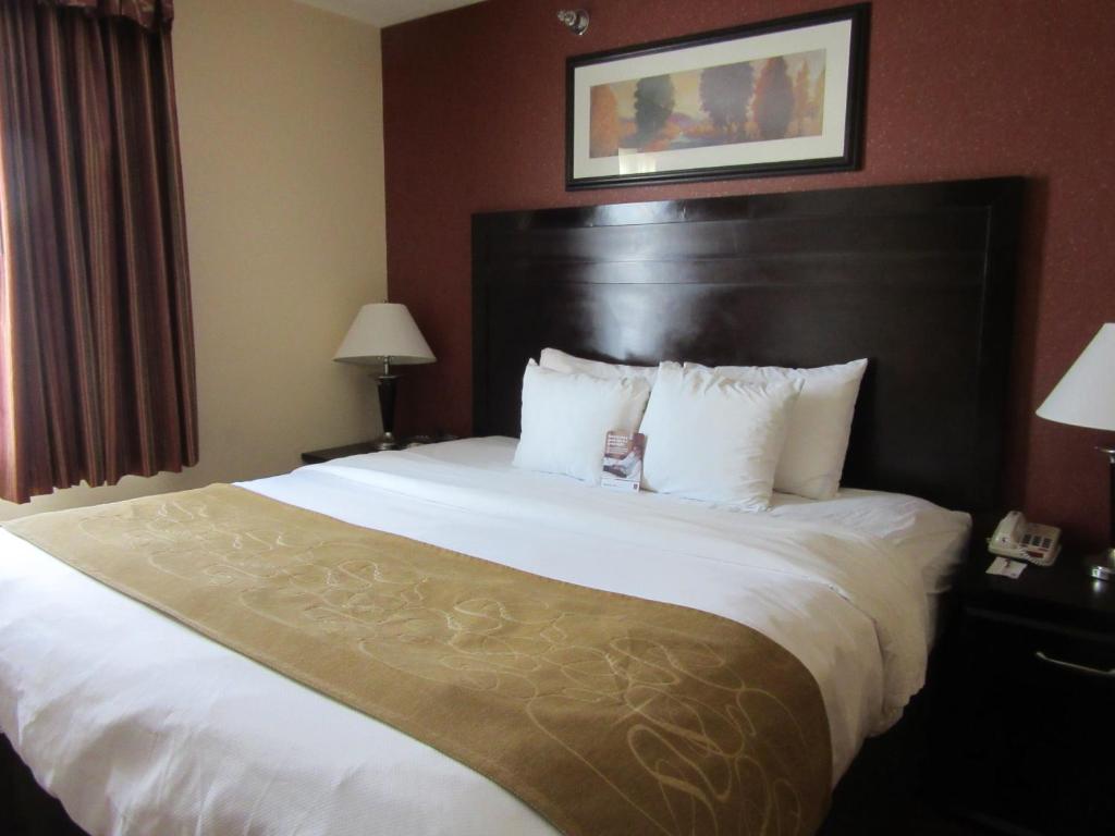 Comfort Suites Airport photo