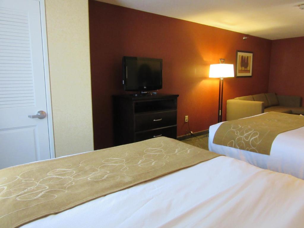 Comfort Suites Airport photo