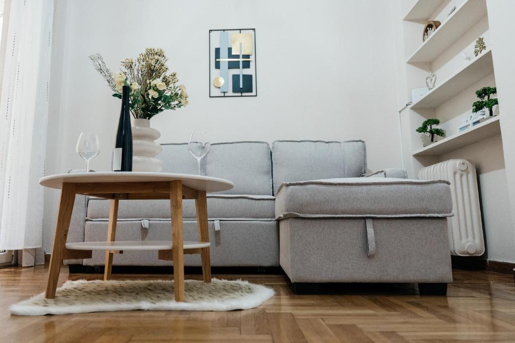 Posedenie v ubytovaní luxury apartment center athens (wifi)