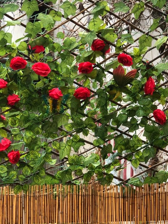 Gîte Les Acacias - 14