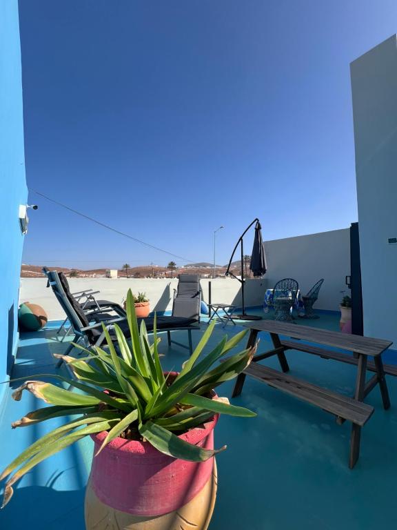 a patio with a table and a potted plant at Heimat am Meer in Sidi Ifni