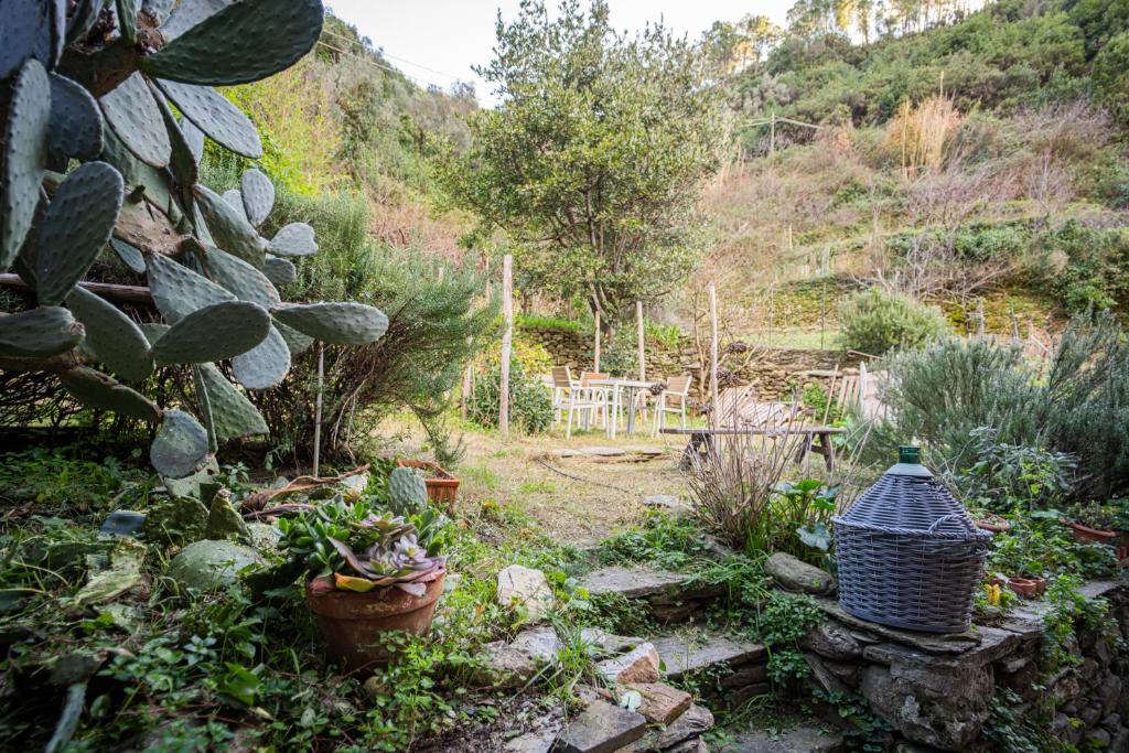 Zahrada ubytování Il limoneto dei Cinque Sensi,apartment with garden