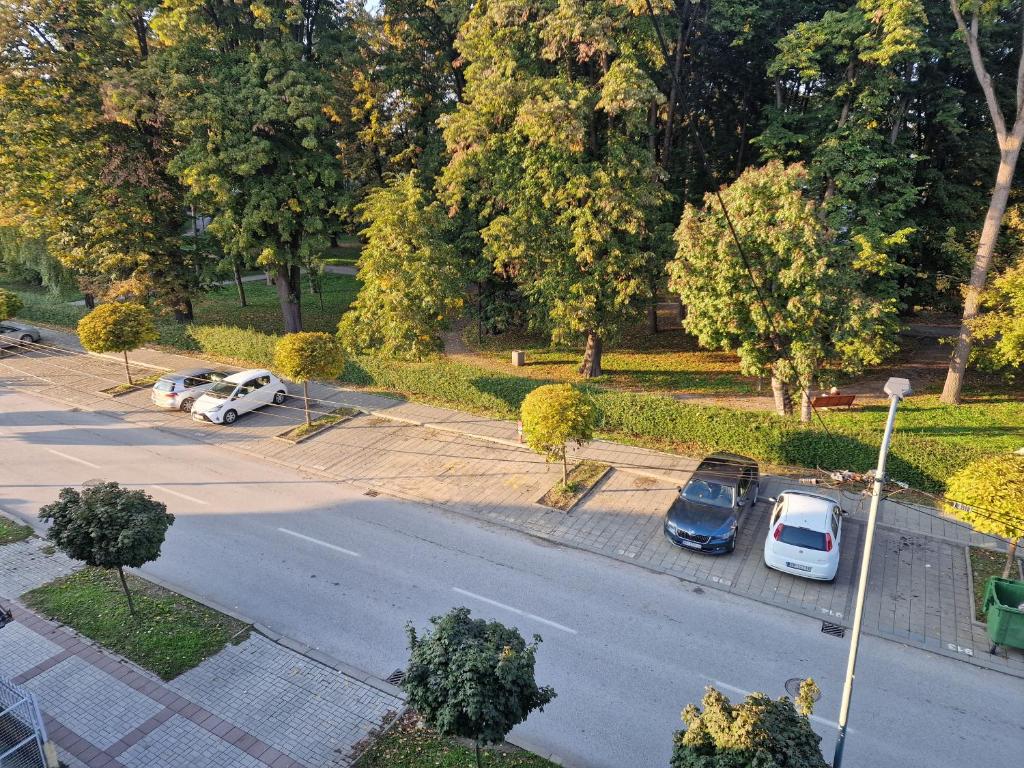 Zahrada ubytování Park Oaza
