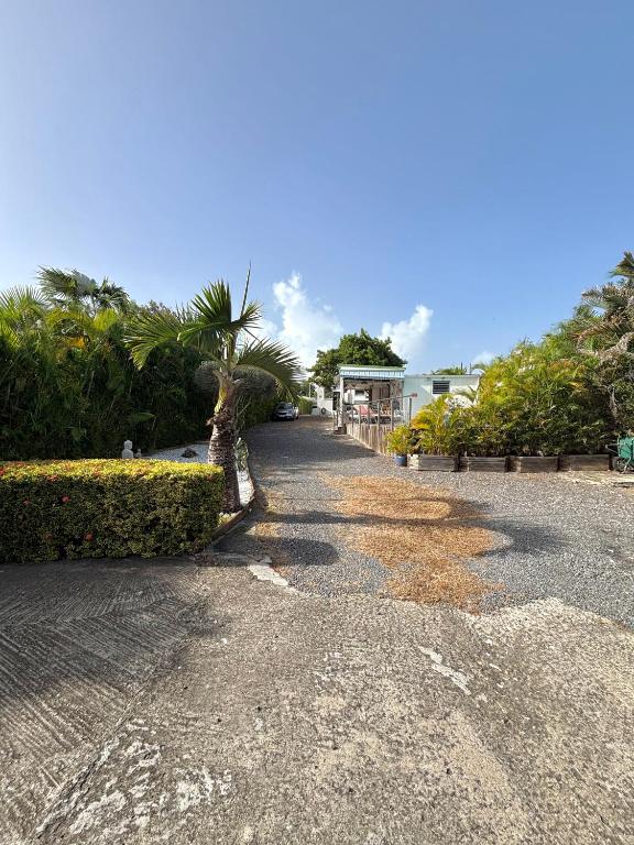 Fotografie z fotogalerie ubytování Gîtes Les Bienheureux - Piscine, Hamak, Terrasse v destinaci Anse-Bertrand