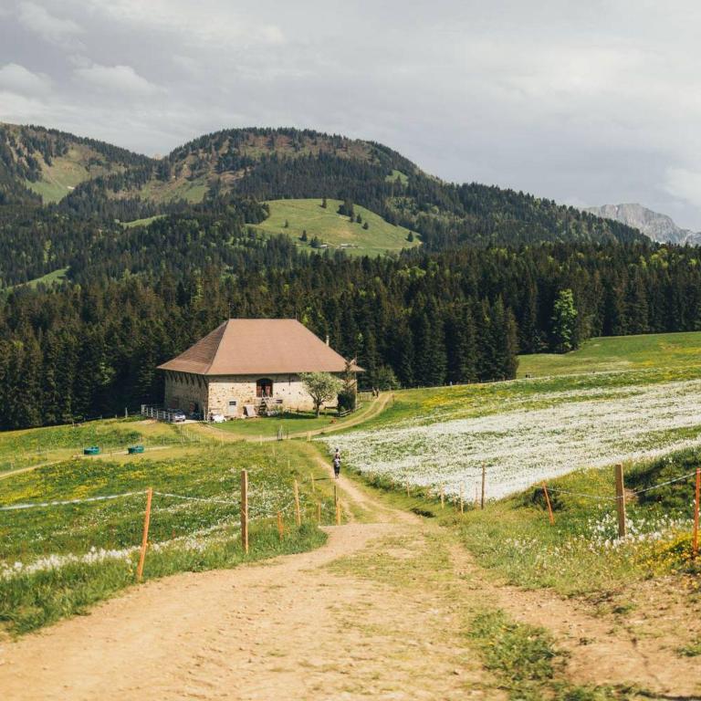 Příroda nedaleko apartmánu