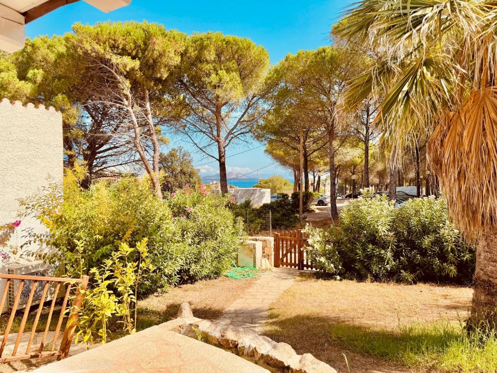 a garden with palm trees and a fence at Villetta i Pini in Baja Sardinia