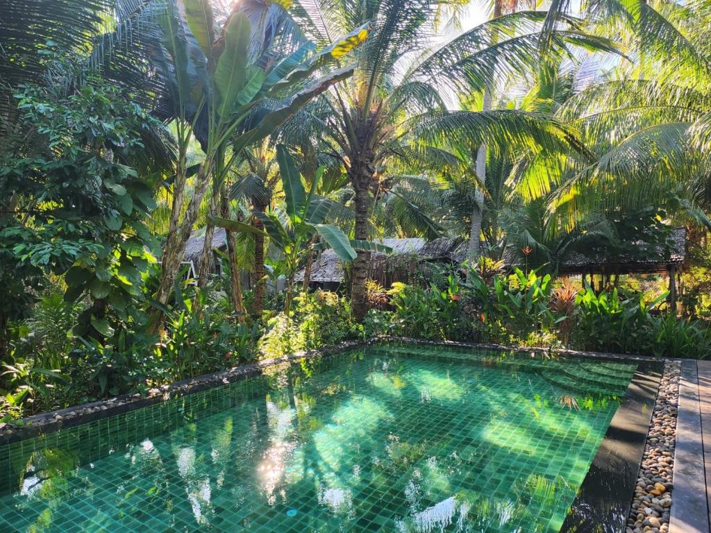 ベンチェにあるMekong Homeのヤシの木が茂るトロピカルガーデン内のスイミングプール