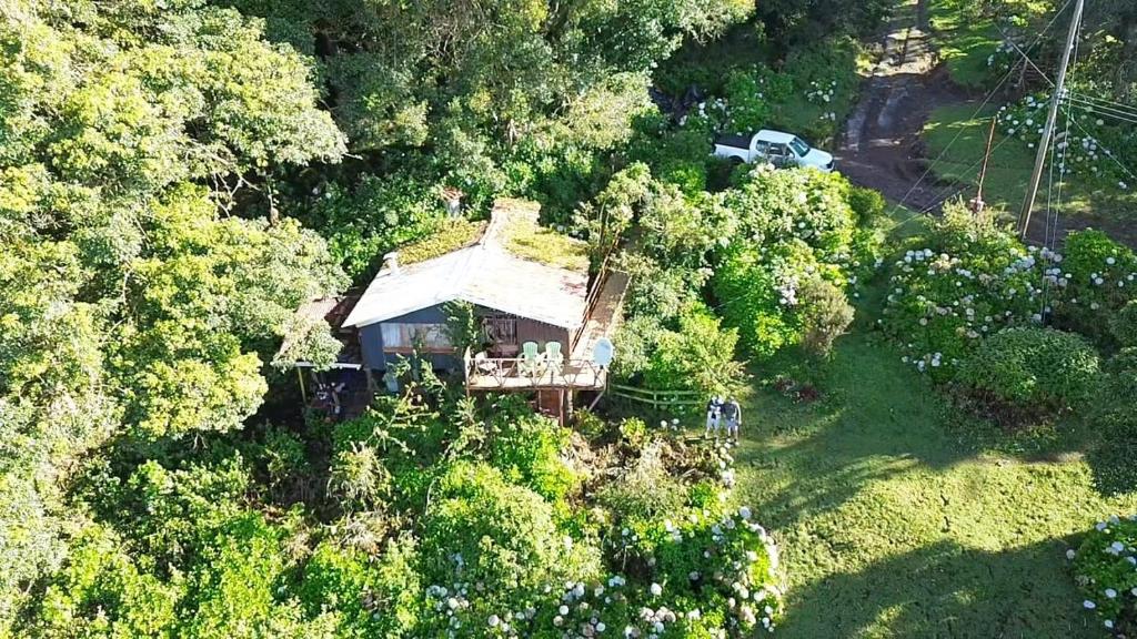 an aerial view of a house in the trees at Cabaña Rústica Elena in Poás
