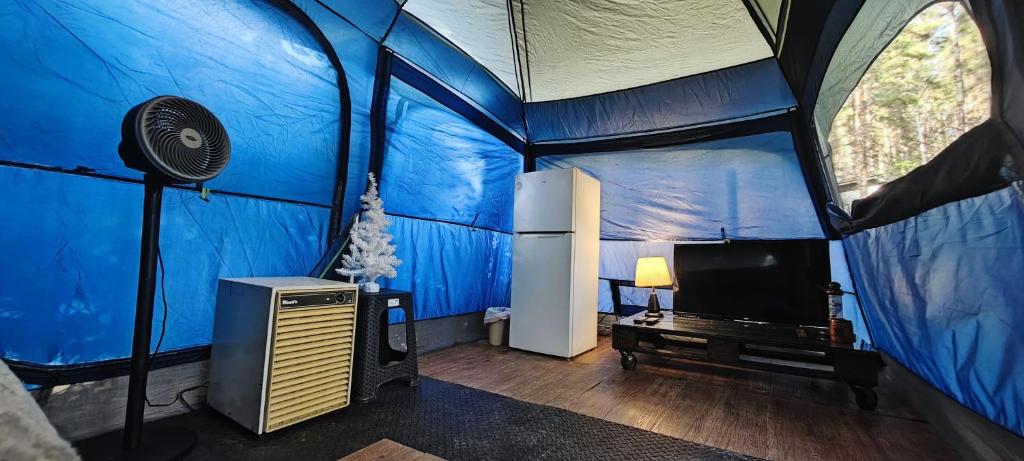 TV a/nebo společenská místnost v ubytování Unique & Affordable Glamping