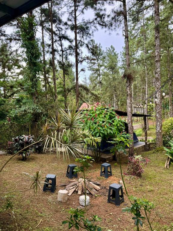 Zahrada ubytování Unique & Affordable Glamping