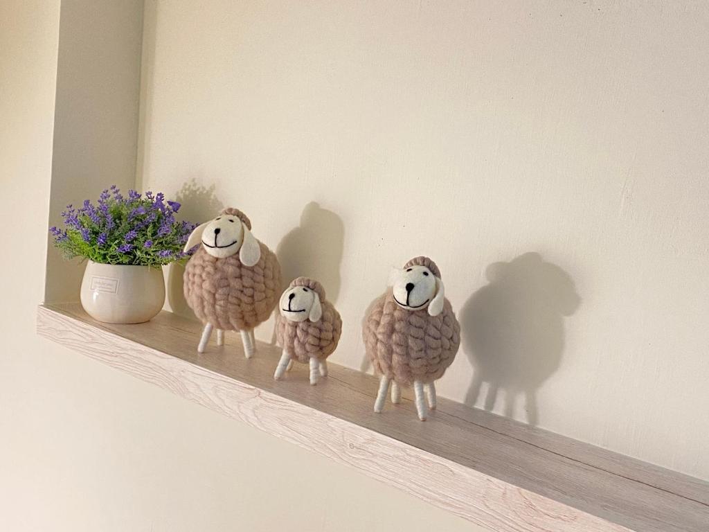 Άλλα ζώα σε αυτό το hostel ή στη γύρω περιοχή