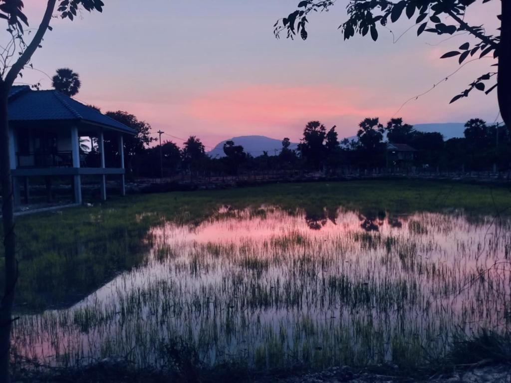 a pond in front of a house with a sunset at Baksaei Retreat Ricefield Villas in Kampot