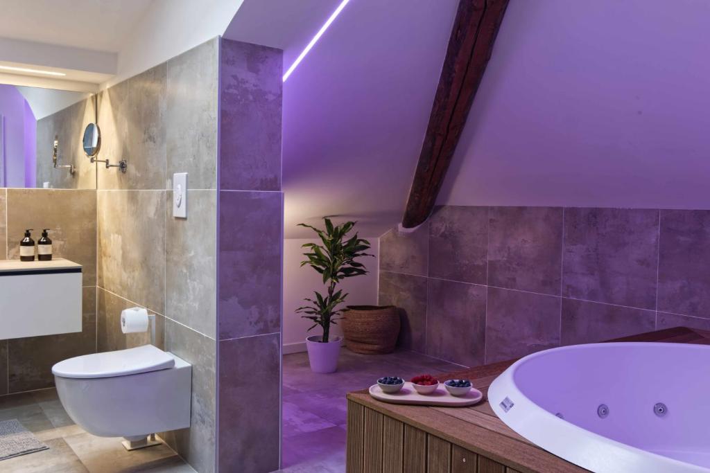 Agave in Centrale - Resim 45