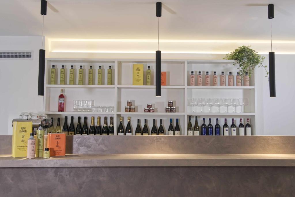 Agave in Centrale - Resim 37