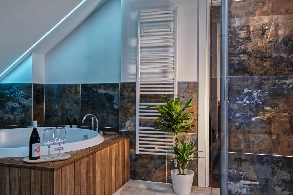 Agave in Centrale - Resim 6