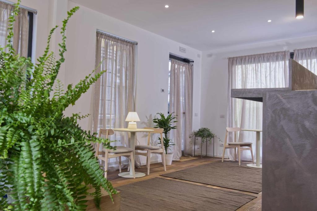 Agave in Centrale - Resim 44