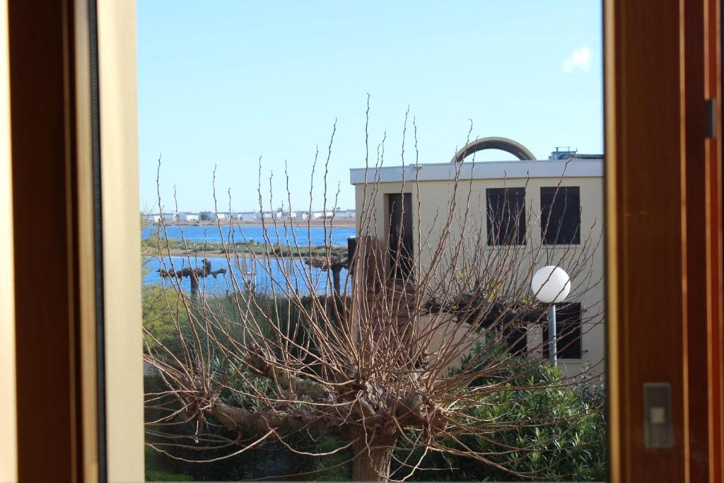 une fenêtre avec une plante devant un bâtiment dans l'établissement Appartement 2 Pièces 4 couchages GRUISSAN GN040-089, à Gruissan