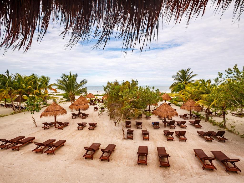 un grupo de sillas y sombrillas en una playa en Villas HM Paraiso del Mar, en Isla Holbox