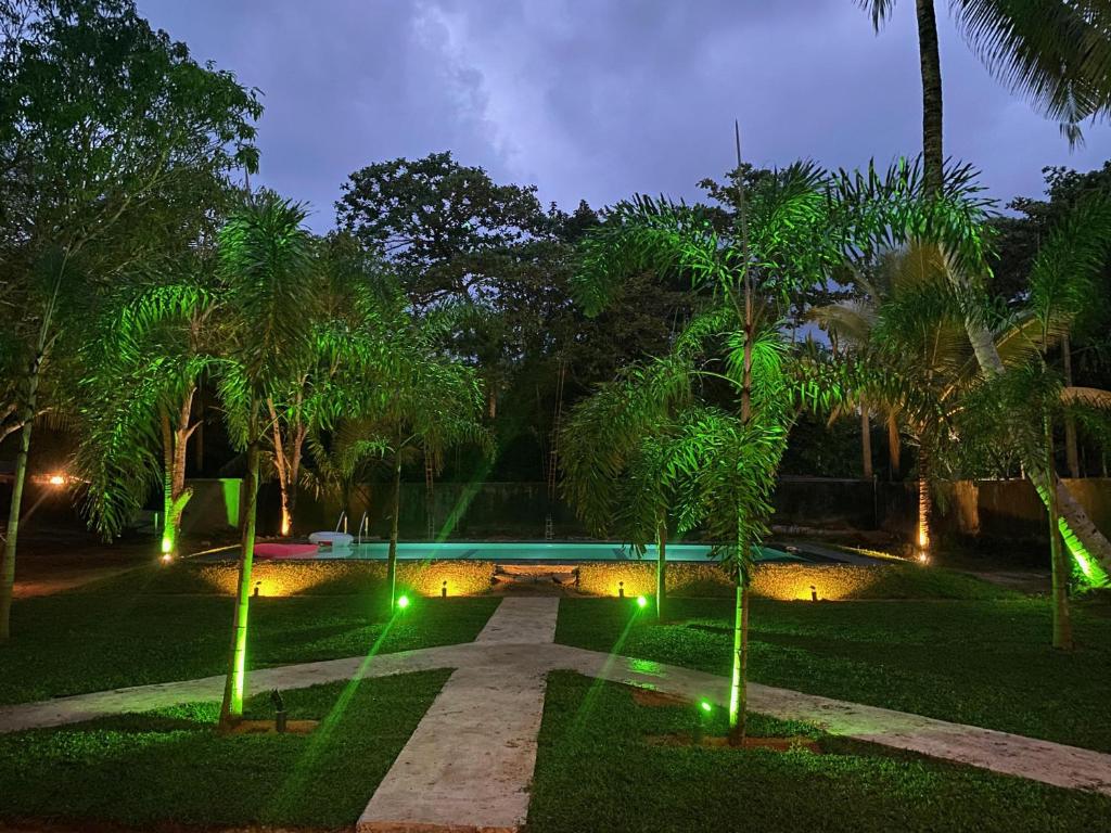 un jardín nocturno con palmeras y luces en Dana Villa, en Bentota