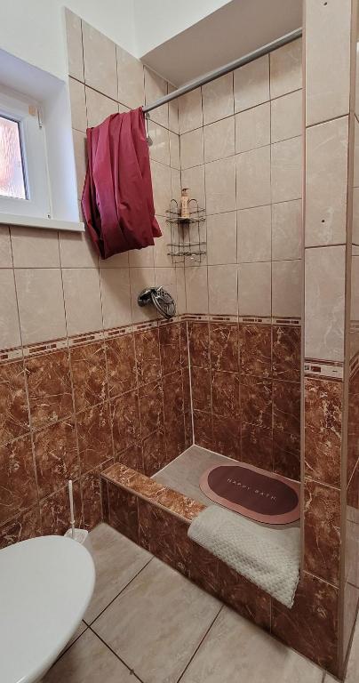 Koupelna v ubytování Alenka