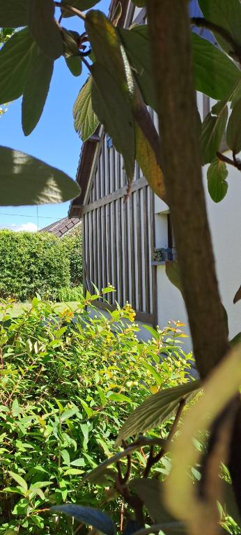 une clôture en bois dans un jardin avec des plantes vertes dans l'établissement Jolie villa 700 m de la plage et des commerces, 120m2, 3 chambres, à Ouistreham