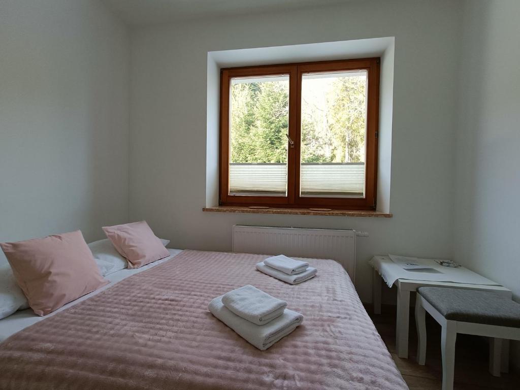 Hołdysówka przy Gondoli - 3