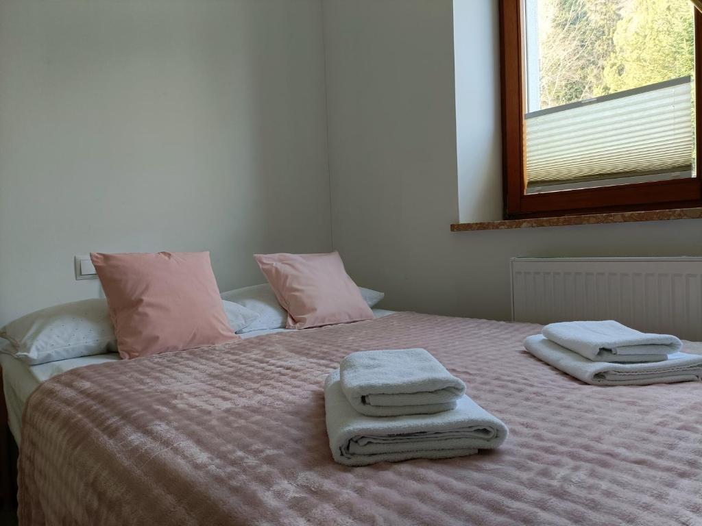 Hołdysówka przy Gondoli - 2