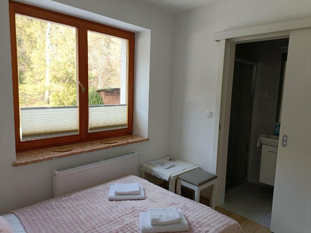 Hołdysówka przy Gondoli - 4