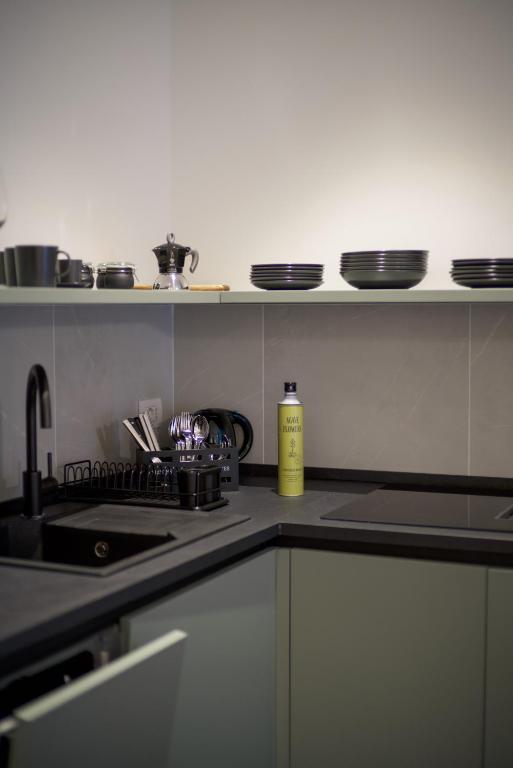 Agave in Centrale - 8