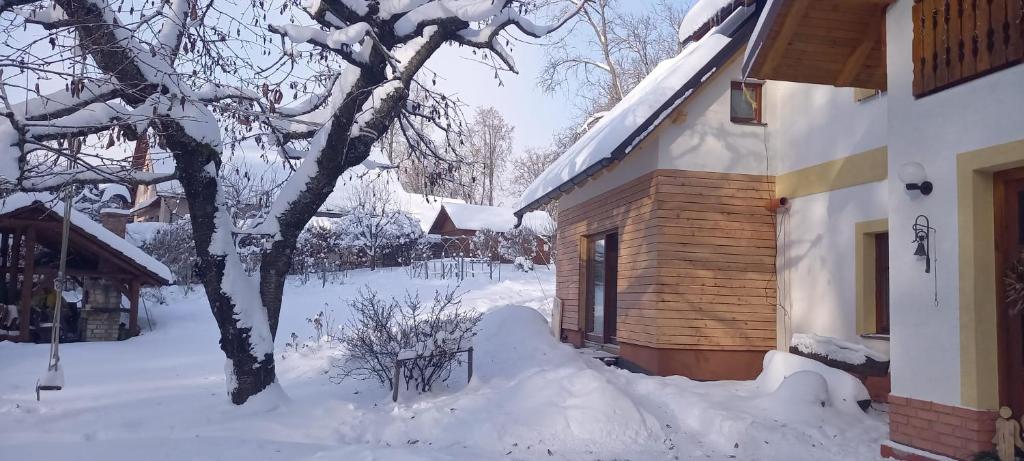 a house covered in snow next to a tree at Selina in Janske Lazne