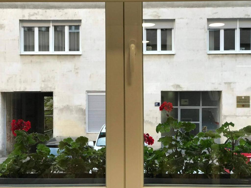 Vonkajšia záhrada v ubytovaní ZagrebFun