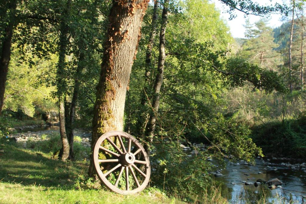 une roue de wagon en bois penchée contre un arbre à côté d'une rivière dans l'établissement Au fil de l'Ance, à Beauzac