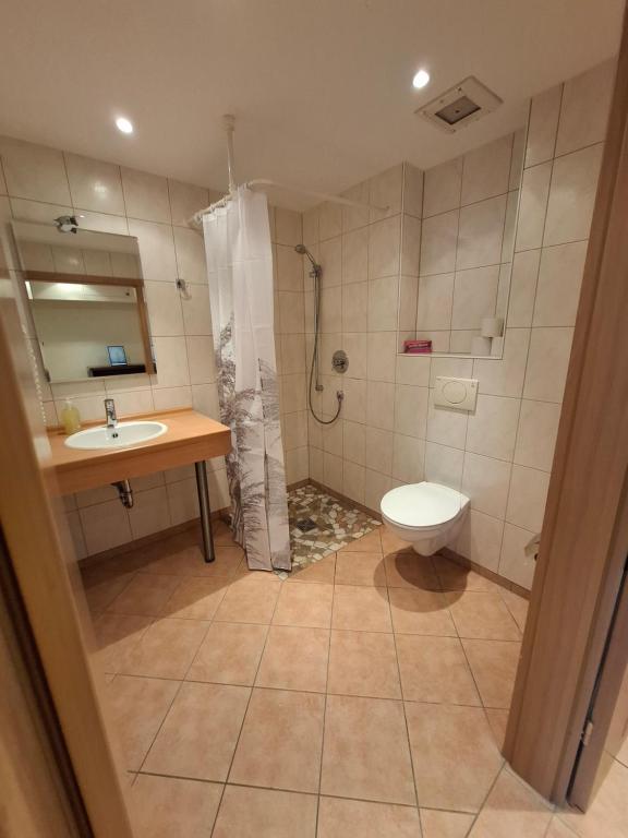 Koupelna v ubytování Haus Astenberg