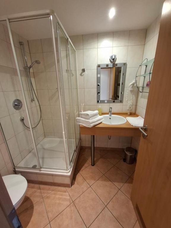 Koupelna v ubytování Haus Astenberg