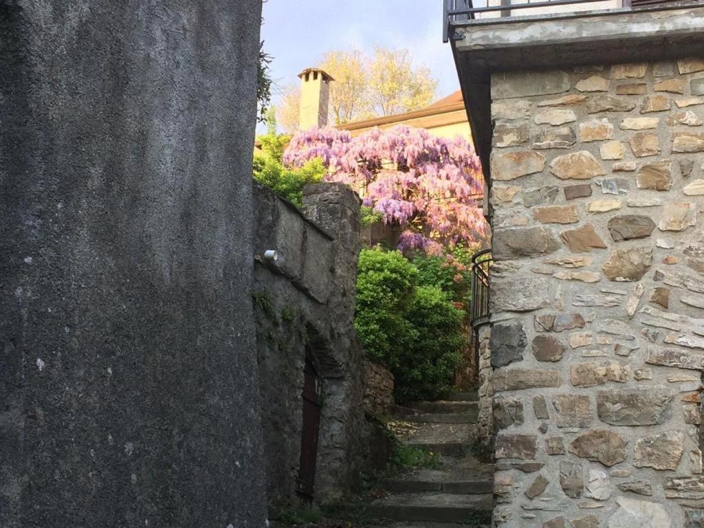 an alley with a stone wall and purple flowers at La casa del bosco in Bagnone