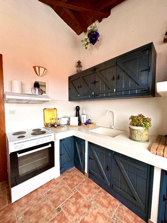 Kuchyň nebo kuchyňský kout v ubytování Αλσύλλιο - Alsillio studio apartments