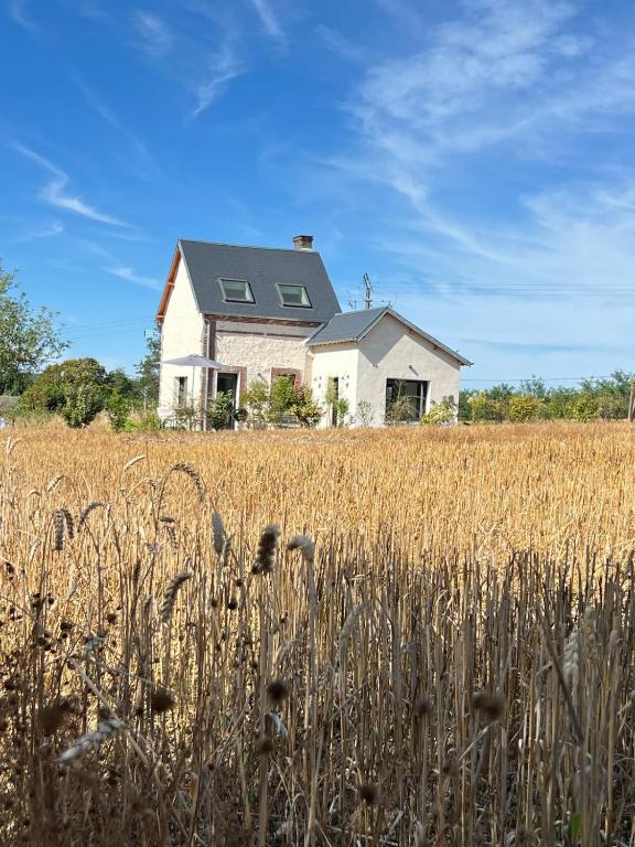 une maison au milieu d'un champ de blé dans l'établissement Cottage romantique dans les champs, à Bonsmoulins