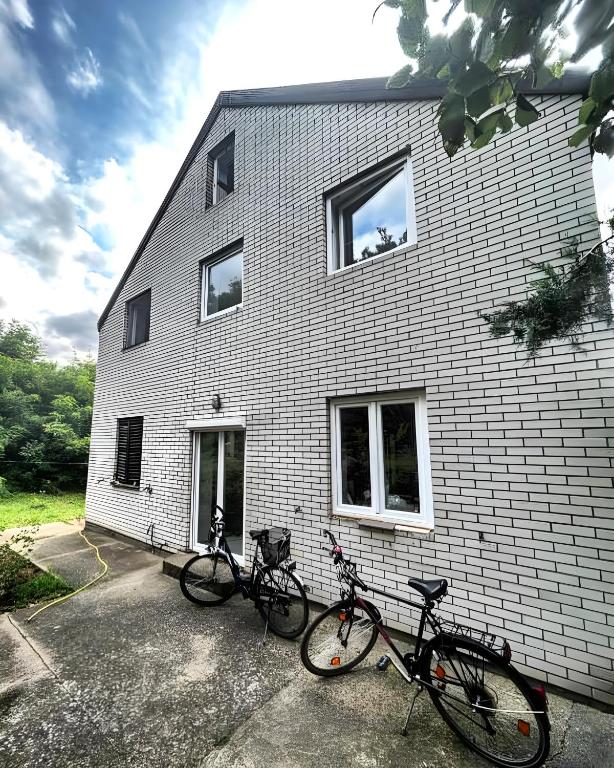 Jízda na kole v ubytování Belgrade Hostel Shambala nebo okolí