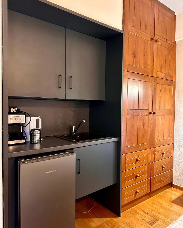 Kuchyň nebo kuchyňský kout v ubytování Αλσύλλιο - Alsillio studio apartments