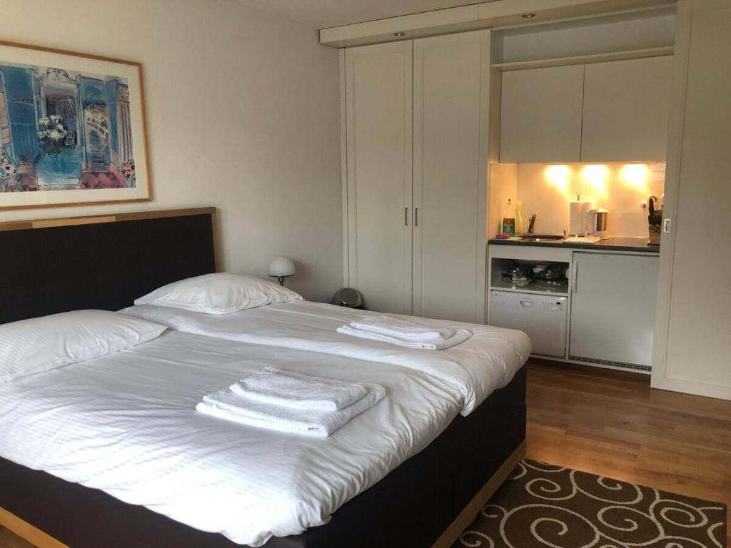 Charming Studio in the old town - UZ3