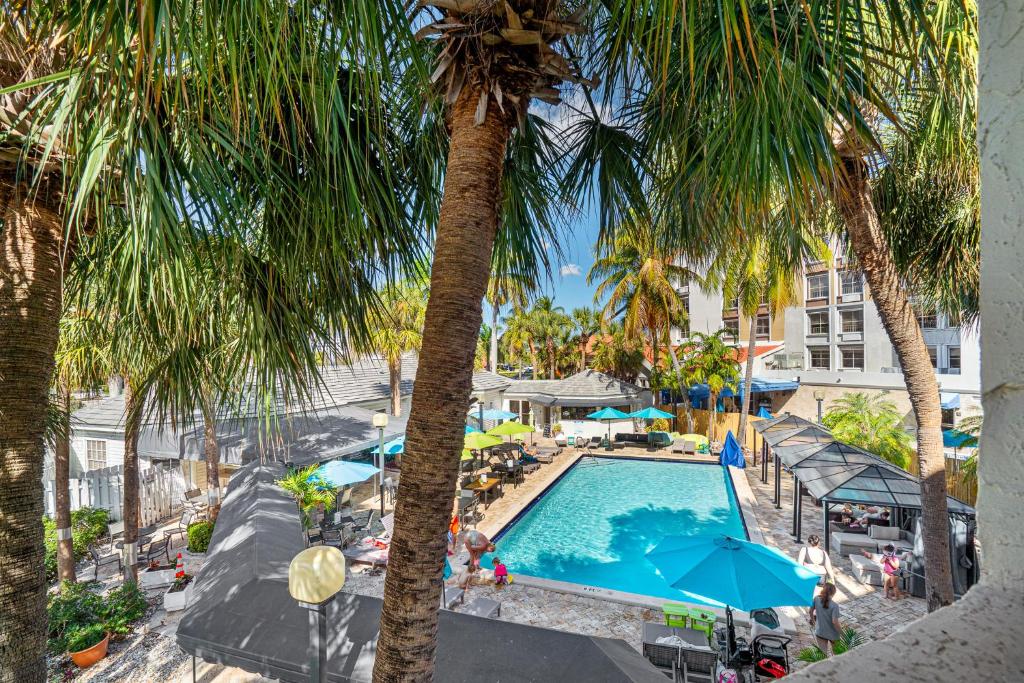 an overhead view of a pool with palm trees at Hotolos Hollywood in Hollywood