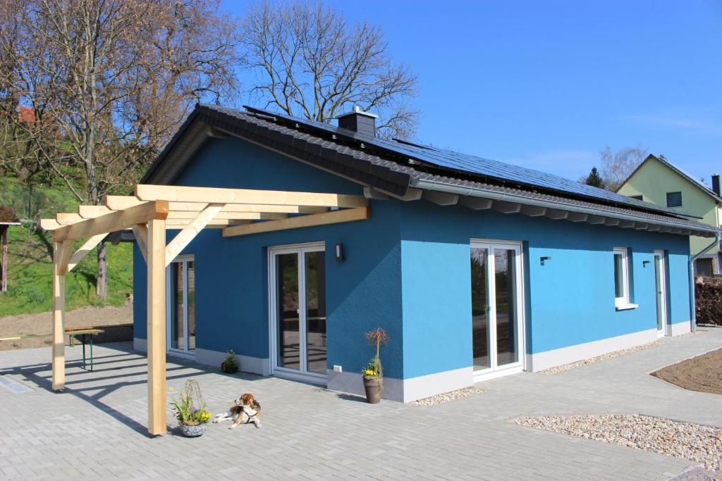a blue house with two dogs in front of it at Lifestyle Ferienhaus in Pouch
