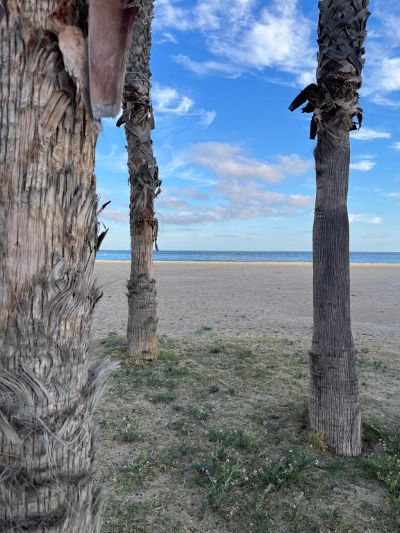 Paisaje cerca de este apartamento