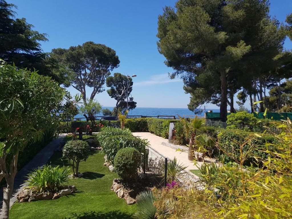 un jardin avec des plantes, des arbres et l'océan dans l'établissement Appartement les pieds dans l'eau avec terrasse et jardin, à Bandol