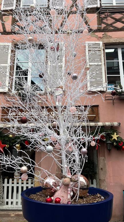 Gite BI UNS chez Silvana – photo 26