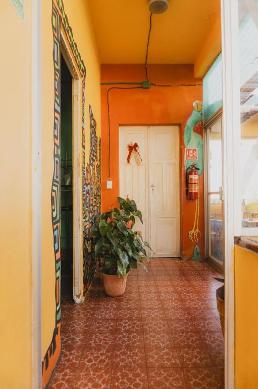 Fotografie z fotogalerie ubytování Casa Kraken Hostel v destinaci Puerto Vallarta